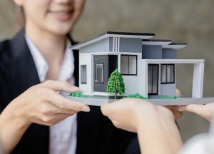 Real Estate and Property