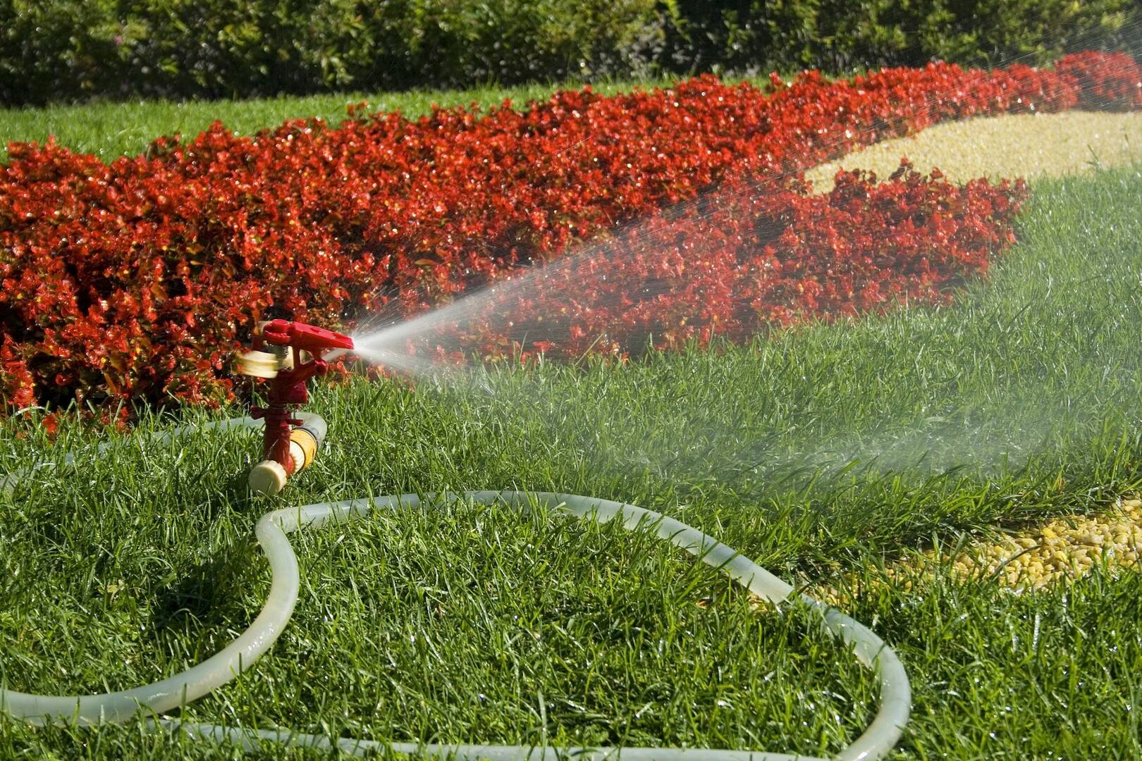 Pest Control Newport OR – pest control services